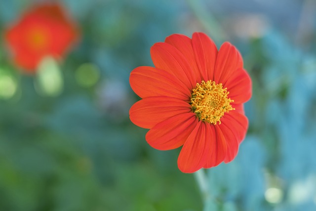 实现了有效 实现了有效