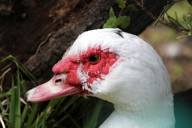 的推广也促 的推广也促