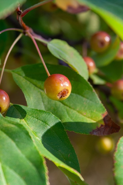 令人惊讶的 令人惊讶的