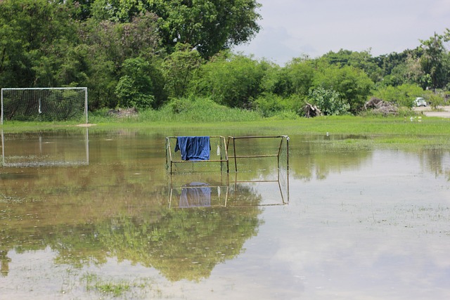 不容小觑 不容小觑