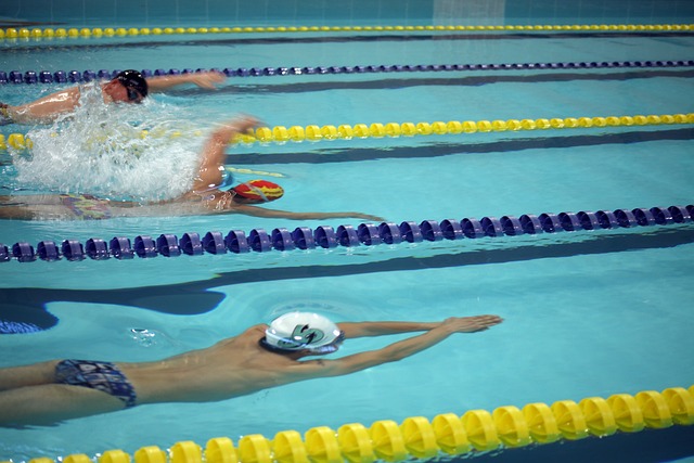 从新人成长 从新人成长