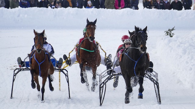 赛完全陷入 赛完全陷入
