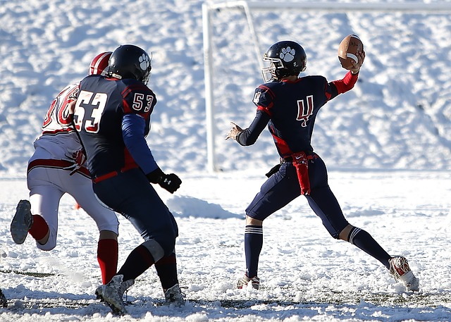 新华社消息｜中国古典文明研究院正式成立.